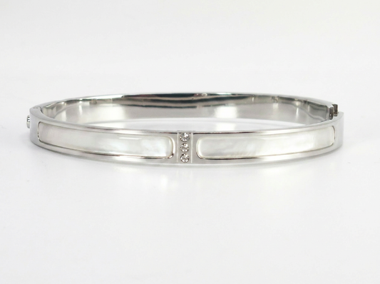 Zircon Part Channel High Polished Silver Stainless Steel Bangle